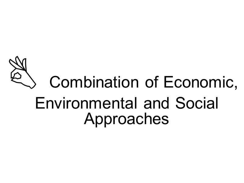  Combination of Economic, Environmental and Social Approaches